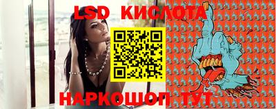 гашик Сланцы