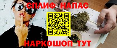 крисы Славянск-на-Кубани