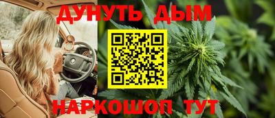 гашик Сланцы