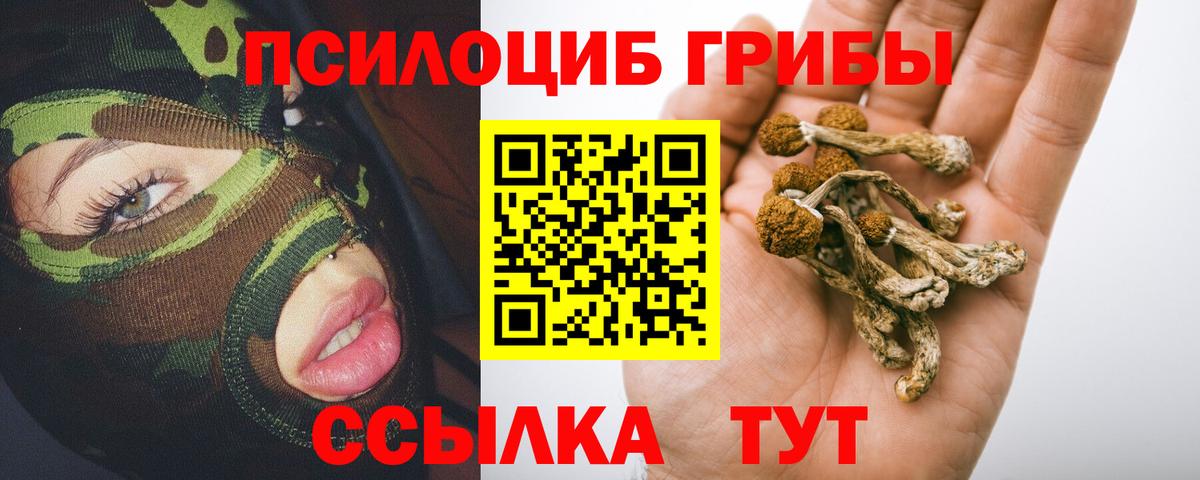 Прокопьевск  Псилоцибиновые грибы мицелий  где найти наркотики  Галлюциногенные грибы мухоморы  Вход с VPN 
